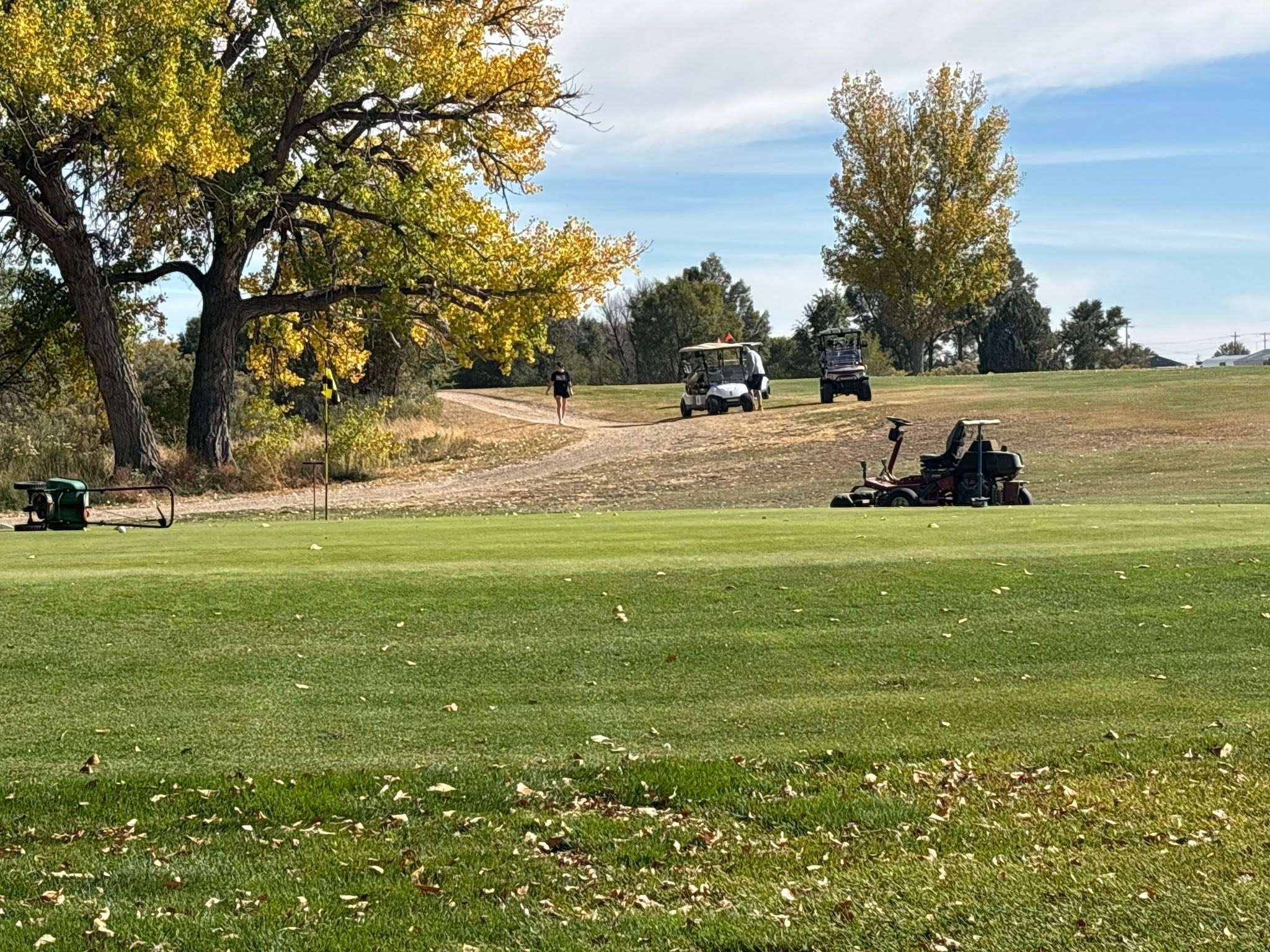 Image of golf ball on tee on grass.