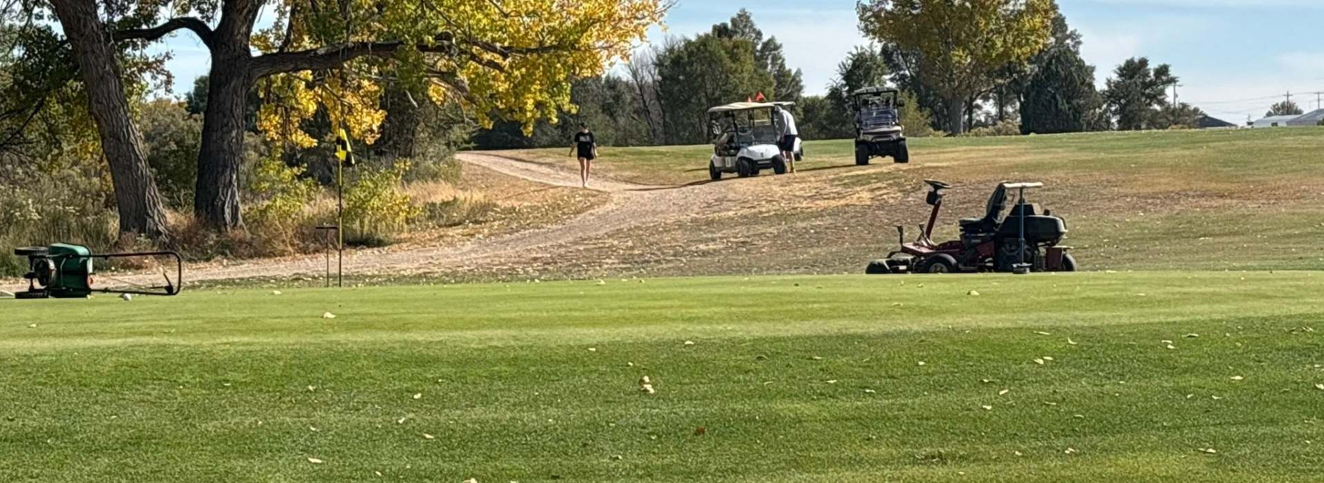 Trees on golf course